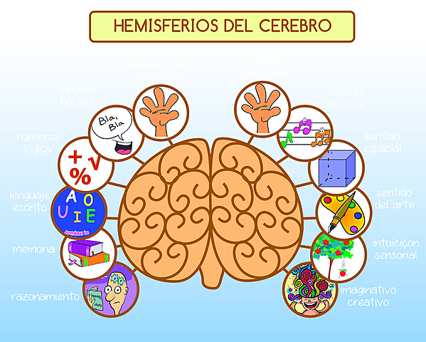 1925 SAMUEL ORTON(Psiquiatra, profesor de la Universidad de Iowa) 1925 - 1931