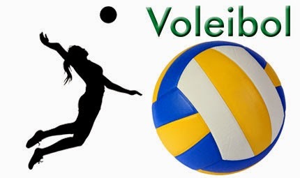 De mintonette al voleibol