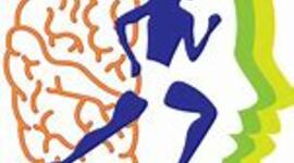 Timeline: Principales eventos de la historia de la Psicología del Deporte