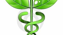 Timeline: Medicina alternativa y Terapias Naturales