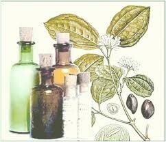 Medicina Homeopática