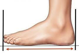 LONGITUD DEL PIE DEL REGENTE