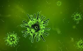 Causa de la Infección Urinaria y Antrax