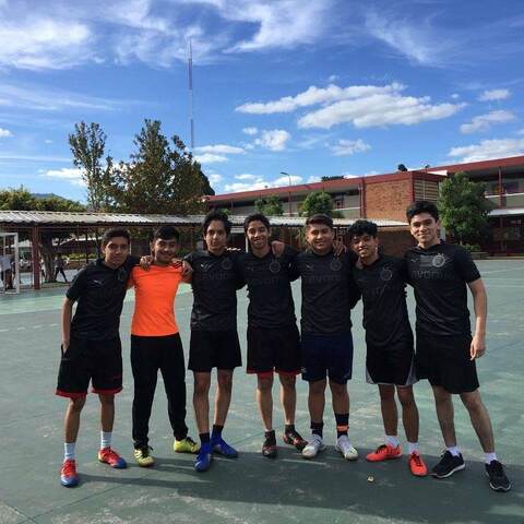 Mis estudios básicos