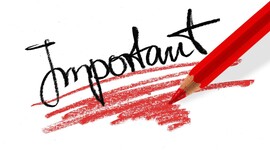 Timeline: My important events Angie Parra