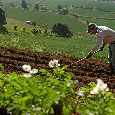 Timeline: Actividades Agropecuarias en Venezuela