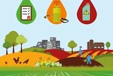 Convenio de Rotterdam: Para la Aplicación del Procedimiento de Consentimiento Fundamentado Previo a Ciertos Plaguicidas y Productos Químicos Peligrosos Objeto de Comercio Internacional.