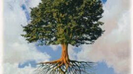 Timeline: עבודת שורשים