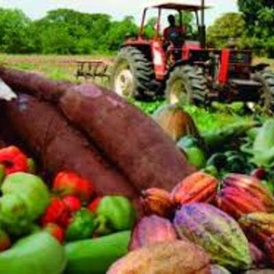 Timeline: actividades agropecuarias venezolanas