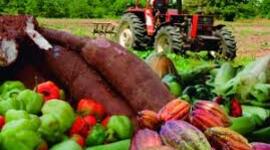 Timeline: actividades agropecuarias venezolanas