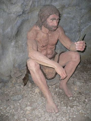 Homo Sapiens Sapiens (doubly wise man)