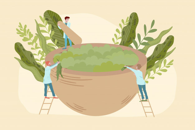 MEDICINAS ALTERNATIVAS (MEDICINA NATURAL - NATUROPATÍA)