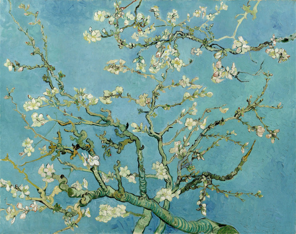 Flor de almendro; Van Gogh.
