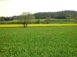 Ley de tierras y desarrollo agrario