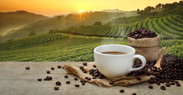 Venezuela 3er lugar como Productor de café