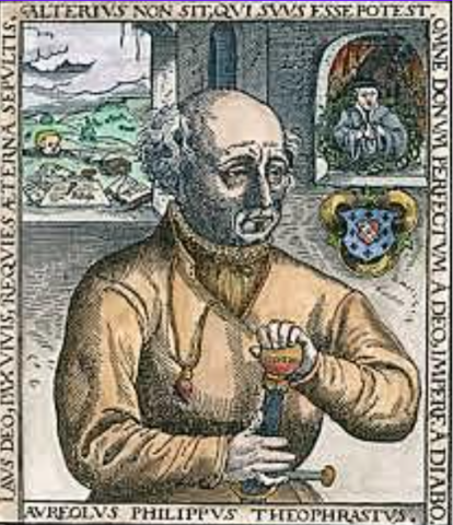 EDAD ANTIGUA-Estudios