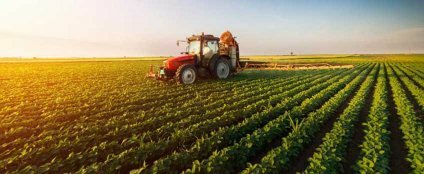 Solución Democrática