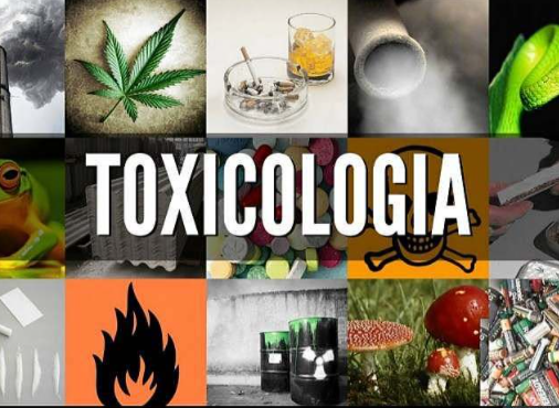 DESARROLLO DE LA TOXICOLOGÍA EN AMÉRICA