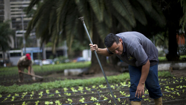 Burguesía industrial y comercial