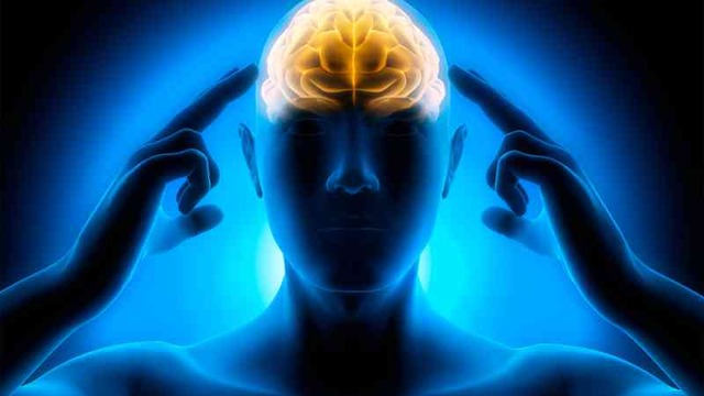 Anomalías Neurológicas