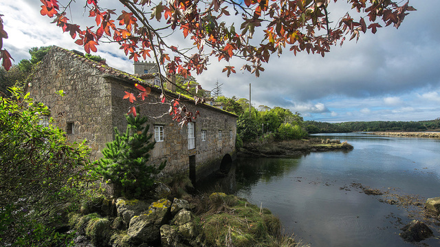 82. La casualidad no existe