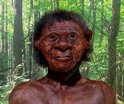 Homo floresiensis