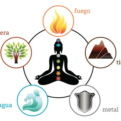 Timeline: Terapias Naturales