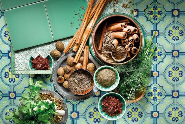 700 MEDICINA AYURVÉDICA