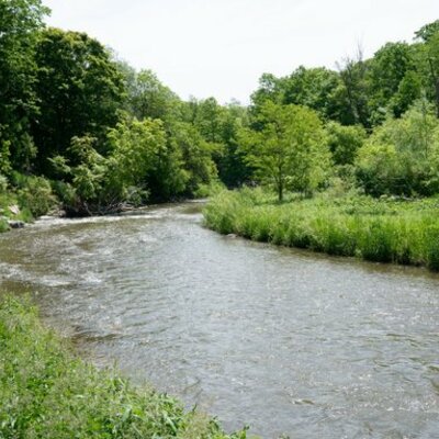 Timeline: Rise and Fall of Asylums