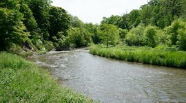 Timeline: Rise and Fall of Asylums