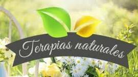 Timeline: terapias naturales