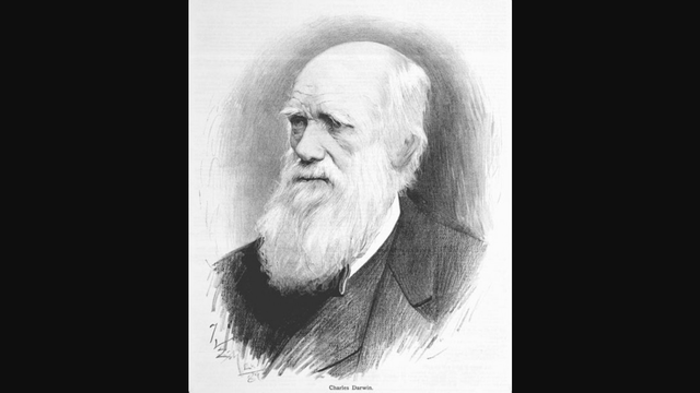 Theory of evolution by natural selection