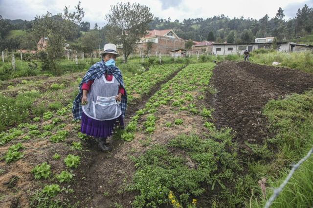 Misión vuelta al campo