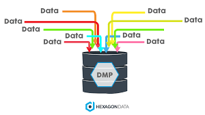 Modificación DMP