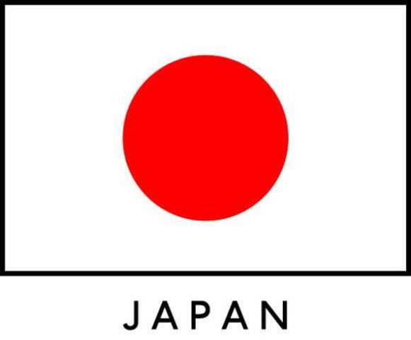 SOCIEDAD ERGONÓMICA DE INVESTIGACIÓN CIENTÍFICA JAPONESA