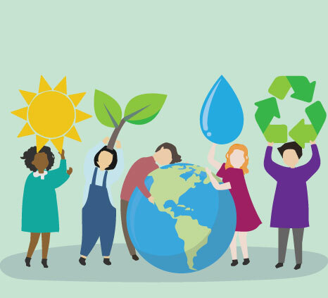 · La Consideración de la Ecología ·