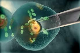 Seminario "sobre la muerte y el moribundo" en Colombia