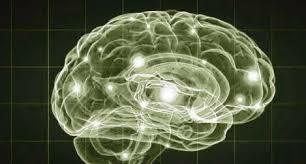 Taxonomia de las enfermedades