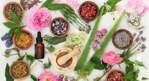 MEDICINA TRADICIONAL