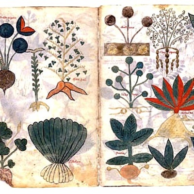 Timeline: Historia de la farmacia