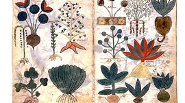 Timeline: Historia de la farmacia