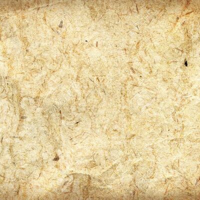 Timeline: Desarrollo histórico de la ED