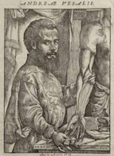 ANDREUS VESALIUS