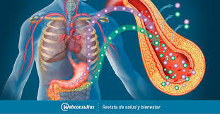 SINTESIS DE INSULINA