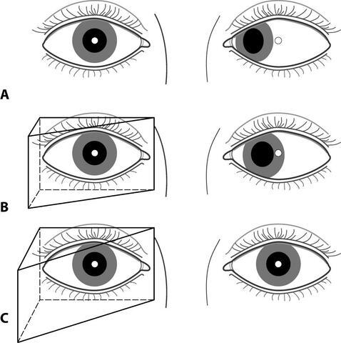 1943 Emamuel Krimsky