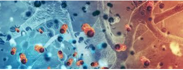 Efectos biológicos de la radiación