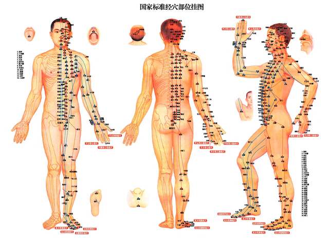 Medicina Tradicional China (Incluye Acupuntura)