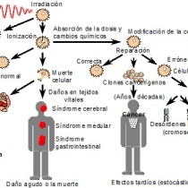 Magnitudes, unidades y limitación de dosis de radiación utilizadas
