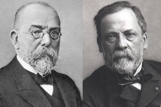 Louis Pasteur e Koch