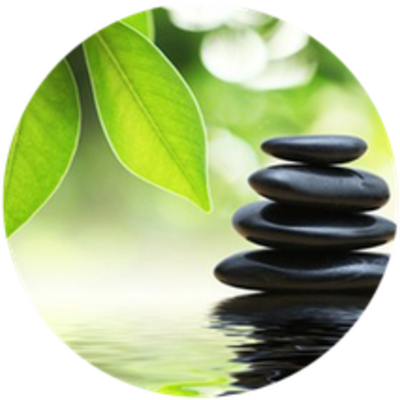 Timeline: Línea de tiempo de Terapias Naturales